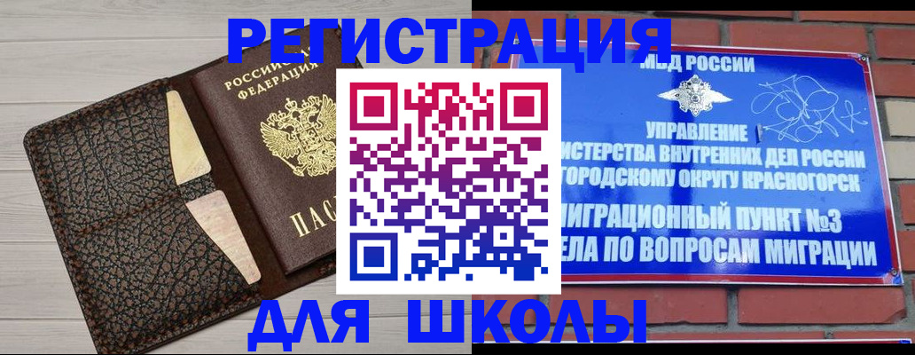 прописка в Электрогорске